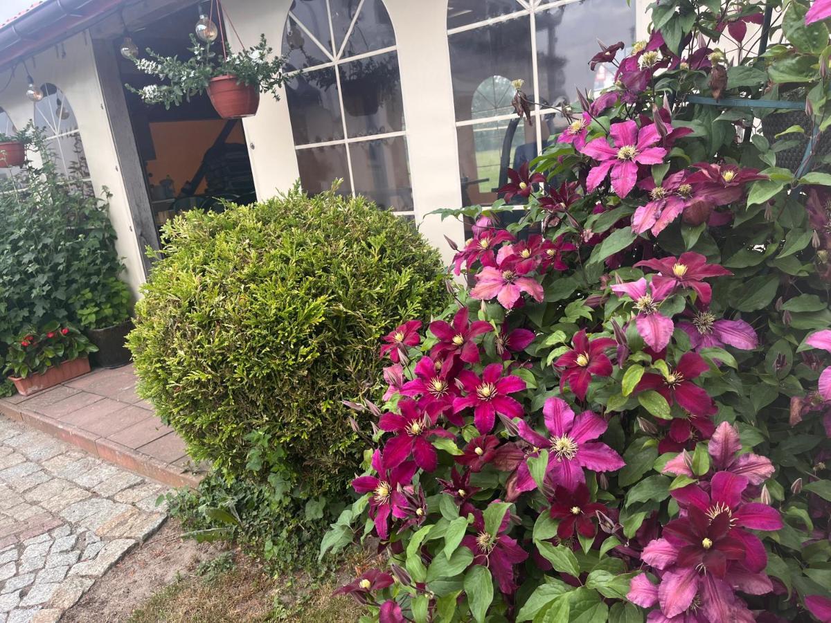 אוסטרוני מורסקי Villa Marlena מראה חיצוני תמונה